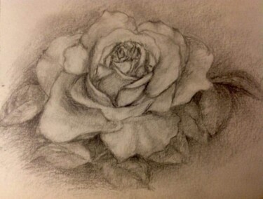 Drawing titled "La rose" by Obrey, Original Artwork, Pencil