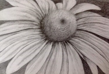 Drawing titled "Une marguerite" by Obrey, Original Artwork, Pencil