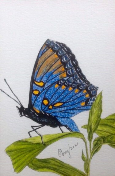 Disegno intitolato "Papillon Vanessa at…" da Obrey, Opera d'arte originale, Inchiostro