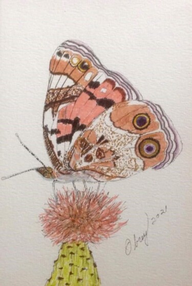 Disegno intitolato "Papillon Vanessa Vi…" da Obrey, Opera d'arte originale, Inchiostro