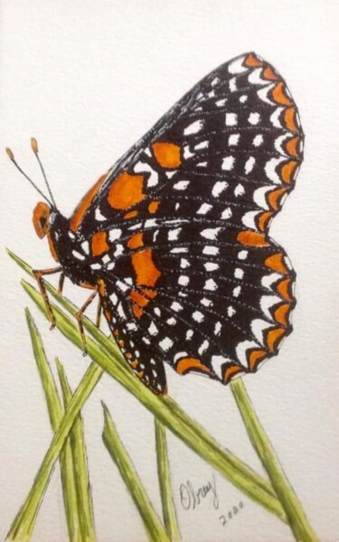 Drawing titled "Papillon Euphydryas…" by Obrey, Original Artwork, Ink