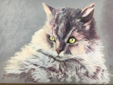Drawing titled "Chat blanc" by Veronique Bauer, Original Artwork, Pastel