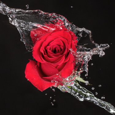 Photography titled "red rose" by Anna Sowinska, Original Artwork, Digital Photography