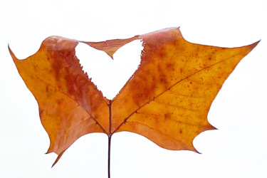 Fotografia intitulada "Autumn love" por Anna Sowinska, Obras de arte originais, Fotografia digital