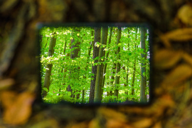 Фотография под названием "Forest in the mirro…" - Anna Sowinska, Подлинное произведение искусства, Цифровая фотография