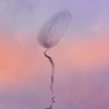 Photographie intitulée "Flower bud" par Anna Sowinska, Œuvre d'art originale, Photographie numérique