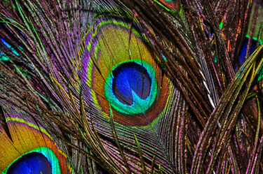 Fotografie getiteld "Peacock art" door Anna Sowinska, Origineel Kunstwerk, Digitale fotografie