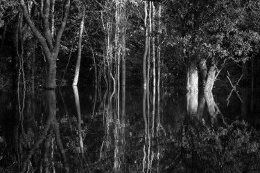 Photography titled "Rio Negro" by Anna Sowinska, Original Artwork, Digital Photography