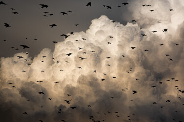 Fotografía titulada "Clouds and birds" por Anna Sowinska, Obra de arte original, Fotografía digital