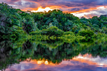 Fotografía titulada "Green land" por Anna Sowinska, Obra de arte original, Fotografía digital