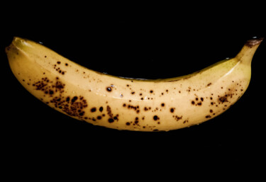 Photographie intitulée "Wet banana" par Anna Sowinska, Œuvre d'art originale, Photographie numérique