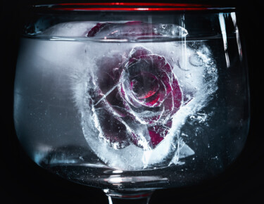Photographie intitulée "Frozen rose" par Anna Sowinska, Œuvre d'art originale, Photographie numérique