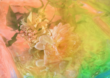 Фотография под названием "Rosewater 10.jpg" - Art Studio Photoglass, Подлинное произведение искусства, Другой