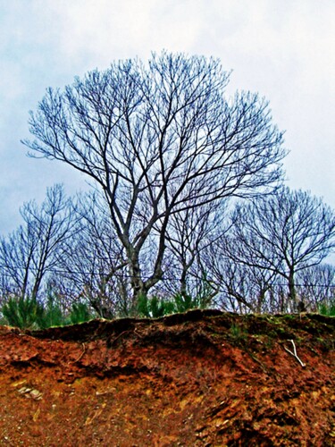 Photography titled "Dias de otoño" by Arturo Carrión, Original Artwork