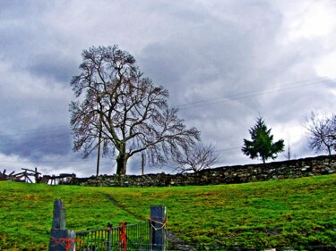 Photography titled "Galicia otoñal" by Arturo Carrión, Original Artwork