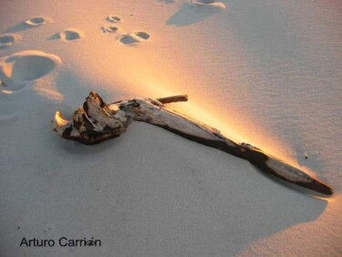 「Desde el arca」というタイトルの写真撮影 Arturo Carriónによって, オリジナルのアートワーク