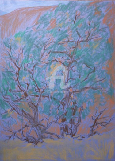 Картина под названием "Emerald Tree" - Artjulia Klymenko, Подлинное произведение искусства, Пастель