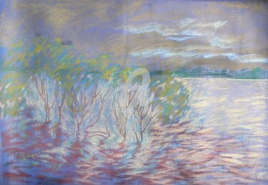 Painting titled "Озеро в Каневе / La…" by Artjulia Klymenko, Original Artwork, Pastel