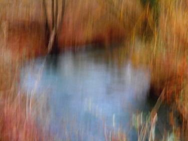 Un coin d'eau.... Fotografía titulada "Un coin d'eau...." por Philippe Berthier, Obra de arte original, Fotografía digital