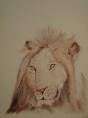Dessin intitulée "le lion" par Annie Sillard, Œuvre d'art originale