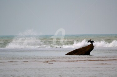 Photography titled "Cormoran" by Asmaâ Ouassou, Original Artwork