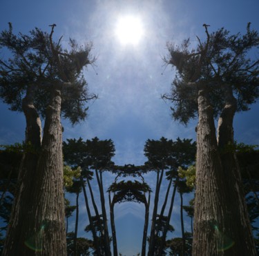 Fotografie mit dem Titel "Symmetrical Impress…" von Alfred Georg Sonsalla, Original-Kunstwerk, Digitale Fotografie