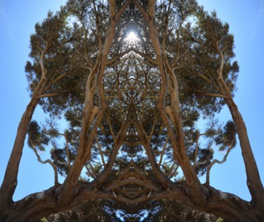 Fotografie mit dem Titel "Symmetrical Impress…" von Alfred Georg Sonsalla, Original-Kunstwerk, Digitale Fotografie
