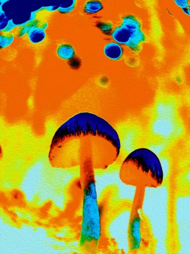 Forest series- Mushroom IV Digitale Künste mit dem Titel "Forest series- Mush…" von Assis De Mello, Original-Kunstwerk, 2D Digital Work