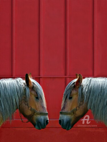 Fotografia intitolato "2CV (deux chevaux)" da Astr, Opera d'arte originale, Fotografia digitale