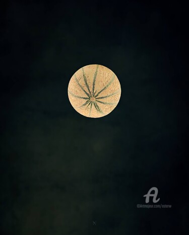 Photography titled "FULL MELON" by Astr, Original Artwork, Manipulated Photography