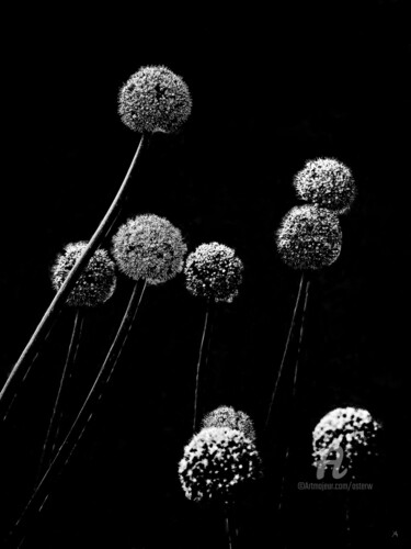 Photographie intitulée "ATOMIUM" par Astr, Œuvre d'art originale, Photographie non manipulée