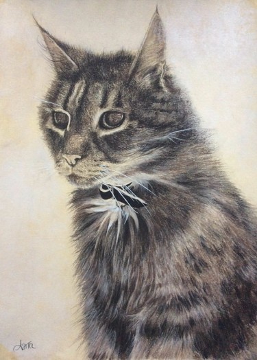 Drawing titled "Geez the Cat" by Astra, Original Artwork, Charcoal