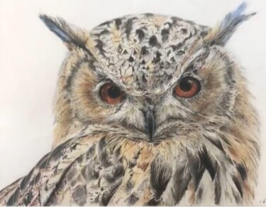 Painting titled "Great horned owl" by Astrid Warakomski, Original Artwork, Conté