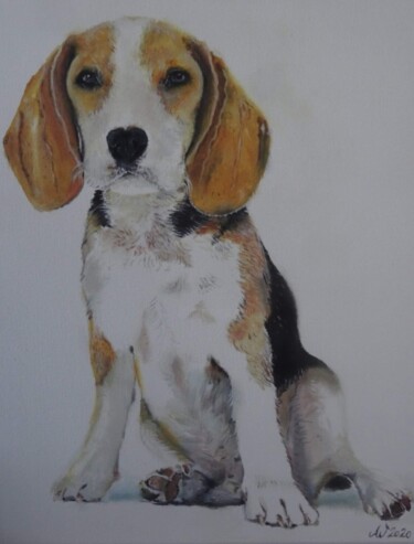 Painting titled "Benji" by Astrid Warakomski, Original Artwork, Oil