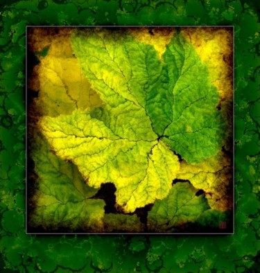 Фотография под названием "Leaves 5" - Alexander Svetlov, Подлинное произведение искусства