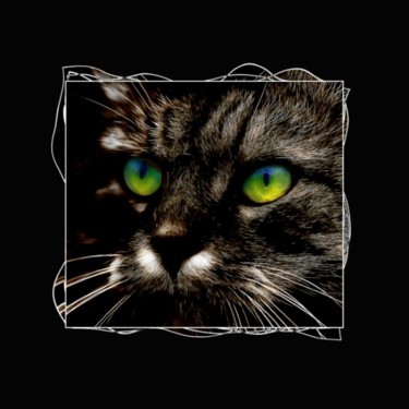 Photography titled "Cat1" by Alexander Svetlov, Original Artwork