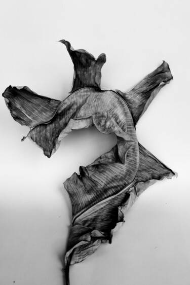 ? Photographie intitulée "?" par Asya Vyalykh, Œuvre d'art originale, Photographie numérique