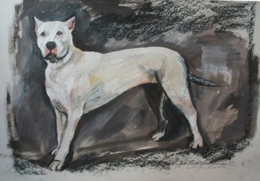Painting titled "Pitbull blanc" by Atelier N N . Art Store By Nat, Original Artwork, Gouache