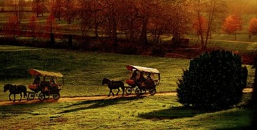 Photographie intitulée "caléches" par Torrès André, Œuvre d'art originale