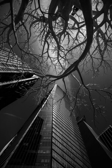 Photography titled "Manhattan, 14:35" by Christophe Aubry, Original Artwork, Digital Photography