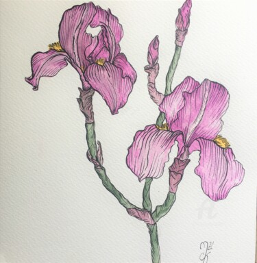 Desenho intitulada "Iris" por Mzelle Cecca Artwork, Obras de arte originais, Tinta