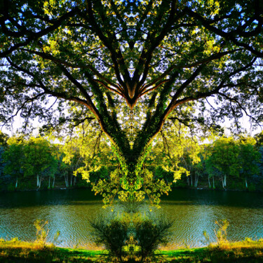 Photography titled "Collier d'Arbre" by Audrey Chaa, Original Artwork, Manipulated Photography