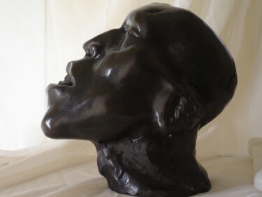 Escultura titulada "Oanes" por Audrey Fléchet, Obra de arte original, Bronce