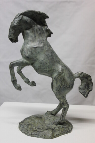 Sculpture intitulée "Cheval Cabré" par Audrey Fléchet, Œuvre d'art originale, Bronze