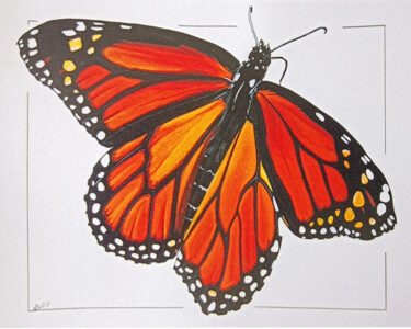 Peinture intitulée "Papillon monarque" par Audrey Lalande, Œuvre d'art originale, Acrylique