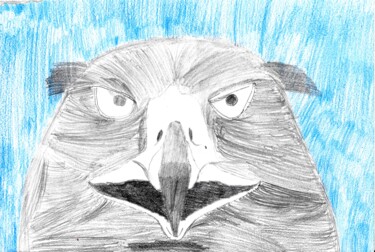 Drawing titled "L'aigle mécontent" by Audrey Segura, Original Artwork, Graphite