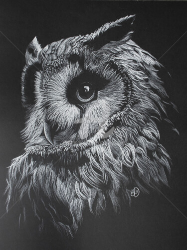 Dibujo titulada "White Owl" por Audrey Delaye, Obra de arte original, Lápiz