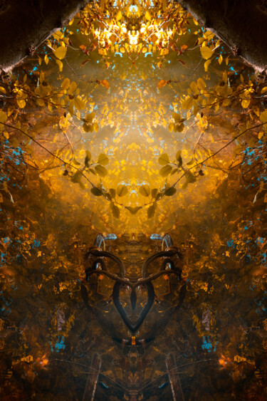 Фотография под названием "Le Royaume des Lumi…" - Aurélia Cheret, Подлинное произведение искусства, Цифровая фотография Уста…