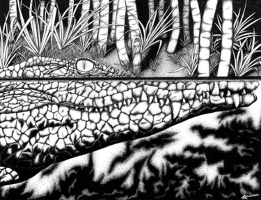 Dessin intitulée "Crocodile" par Sénéca A, Œuvre d'art originale