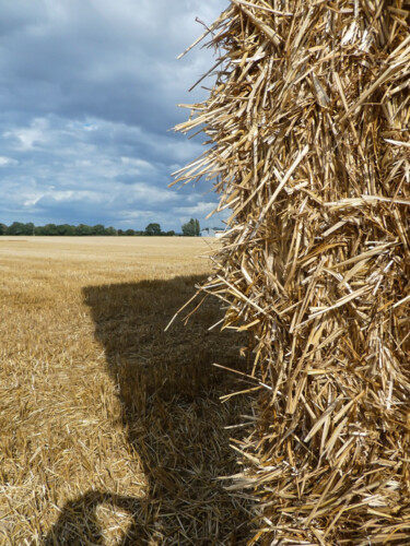 Photographie intitulée "Paille" par Aurélien Comte, Œuvre d'art originale, Photographie numérique